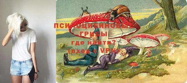 тгк Касимов