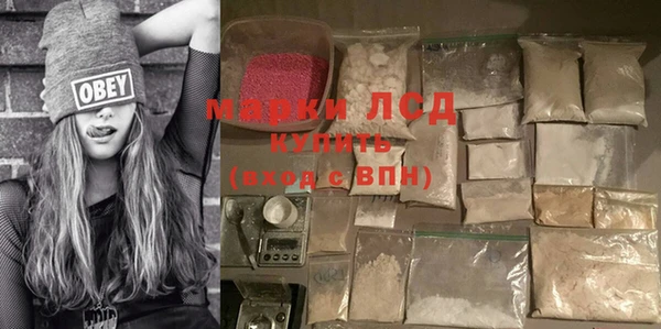 твердый Арсеньев