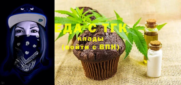 тгк Касимов