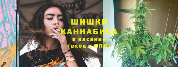прущая мука Карпинск