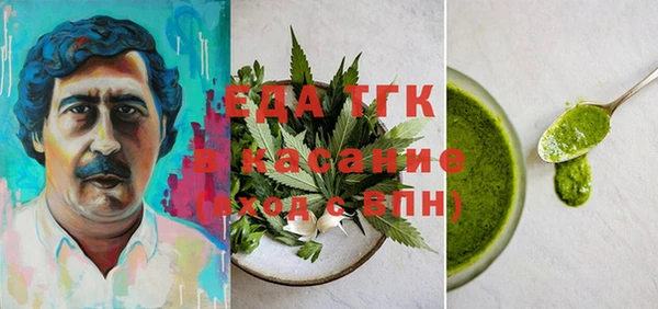 тгк Касимов