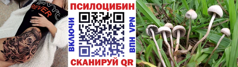 Галлюциногенные грибы Psilocybe  Нововоронеж 